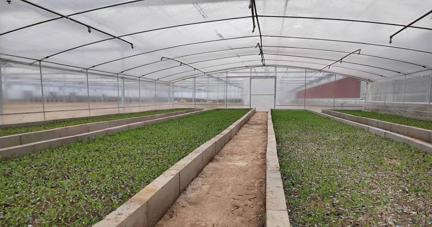 图片 4.png 图片 4.png